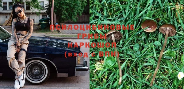 альфа пвп Бородино
