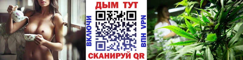 Бошки марихуана семена мориарти наркотические препараты Гатчина где продают